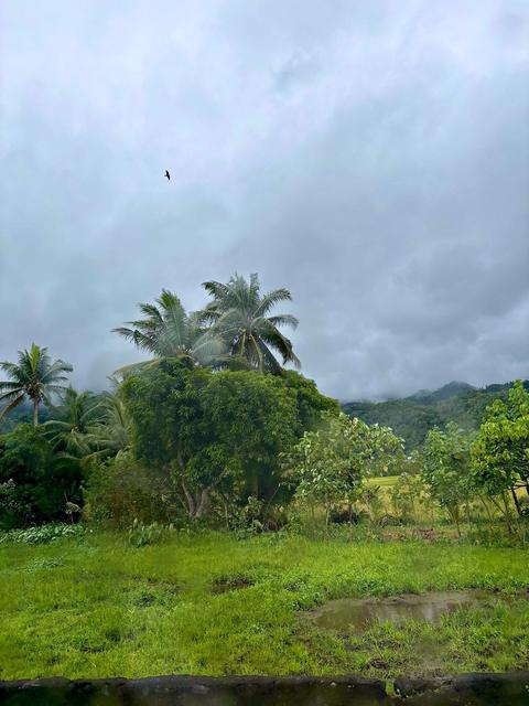 Malilipot