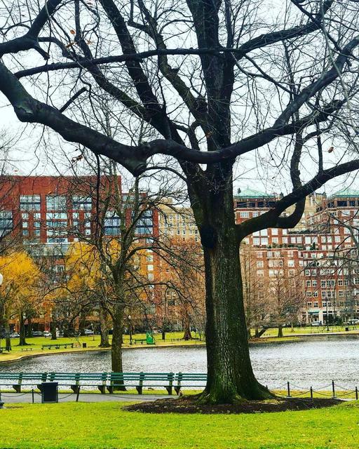 Public Garden