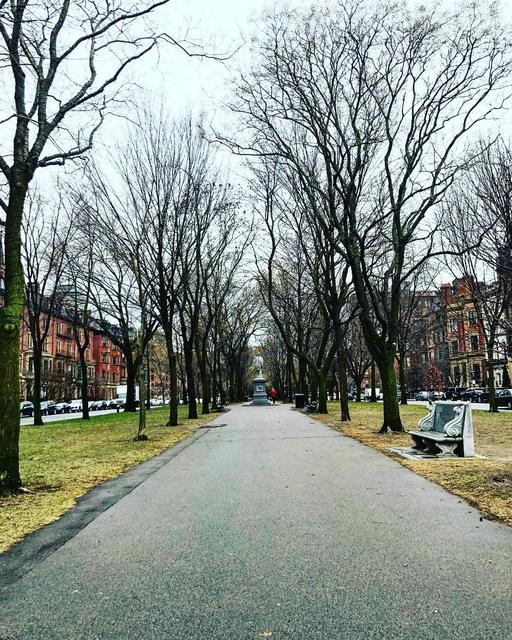 Public Garden