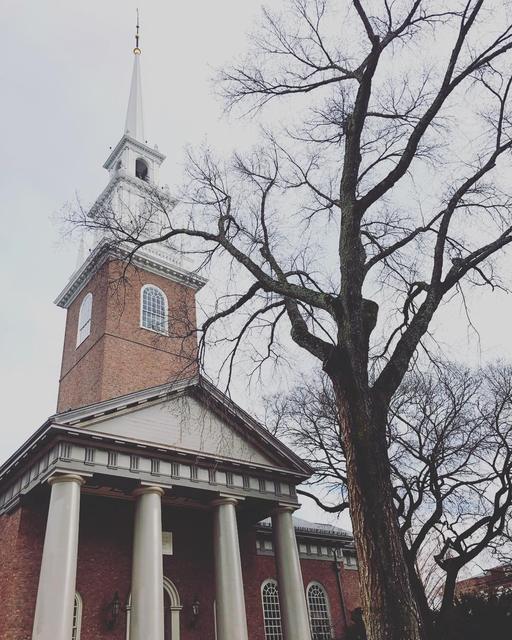 Harvard University