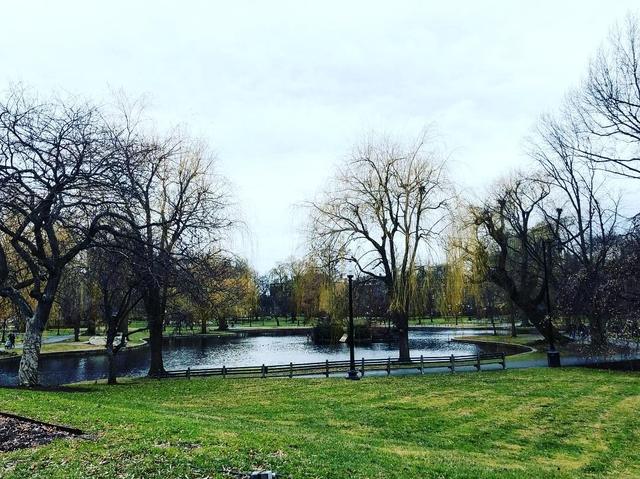 Boston Common