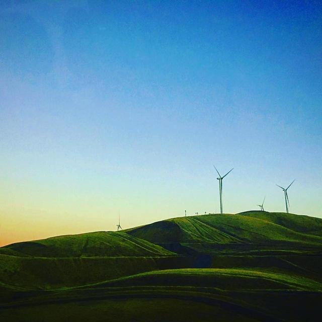 Altamont Pass Wind Farm