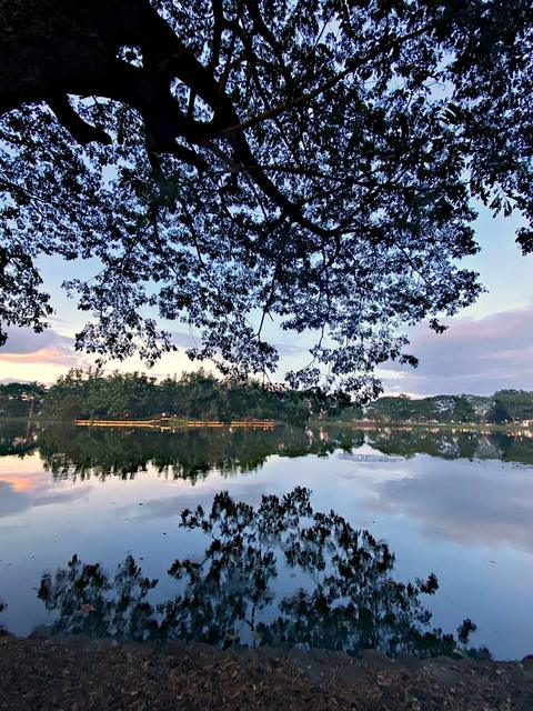Bulaon