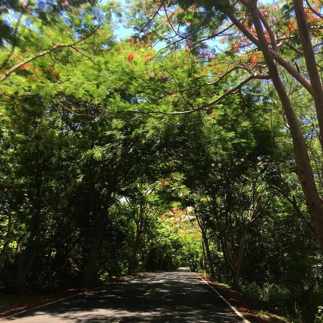 Morong, Bataan