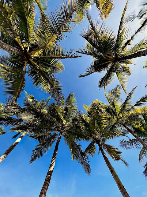 Central Visayas, PH