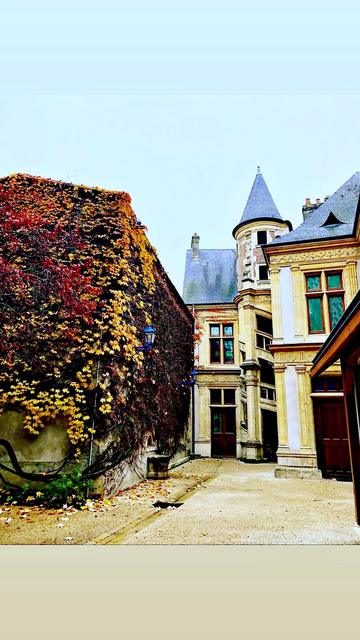 Reims