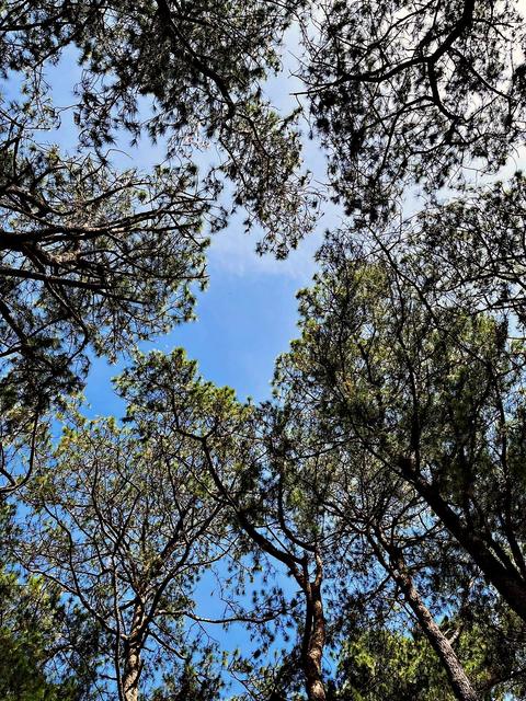 Baguio