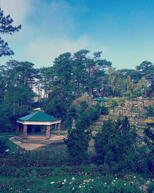 Bell House Camp John Hay