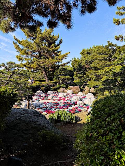 Fukuoka-shi