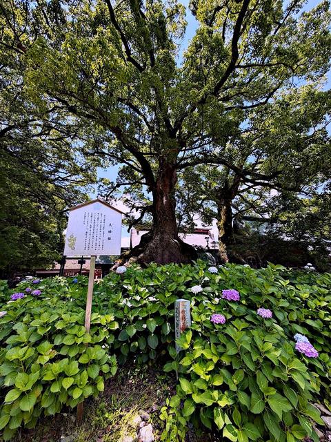 Dazaifu