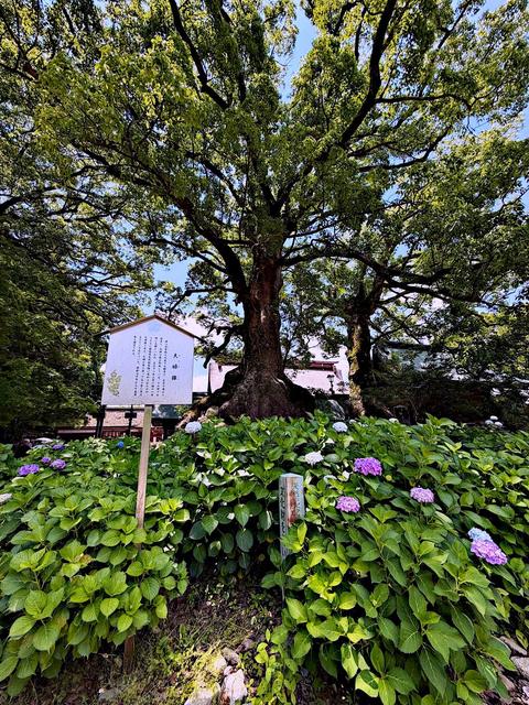 Dazaifu