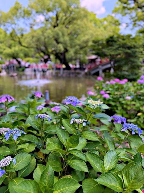 Dazaifu
