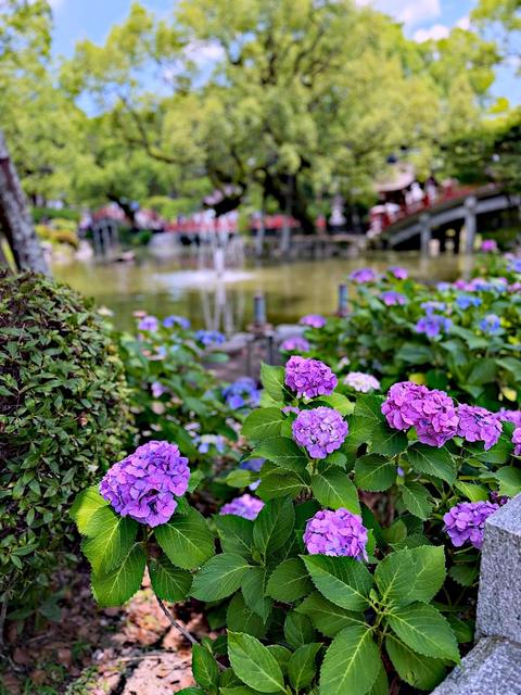 Dazaifu