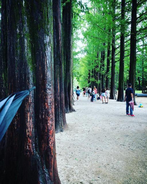 Nami Island