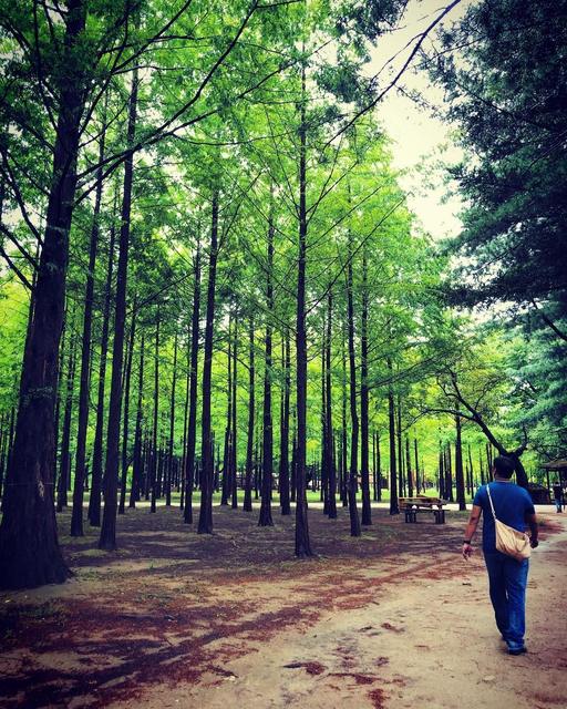 Nami Island 닭갈비 사랑 메밀국시