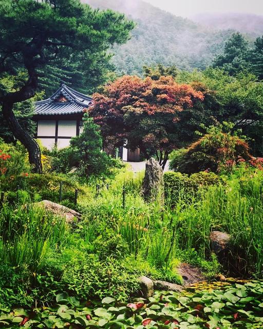 Garden of Morning Calm