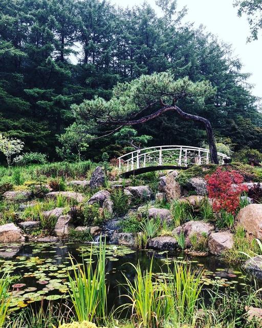 Garden of Morning Calm