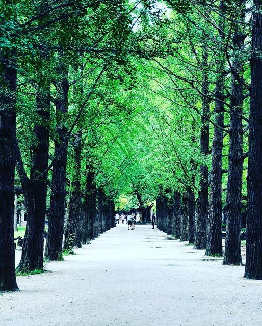 Nami Island 닭갈비 사랑 메밀국시