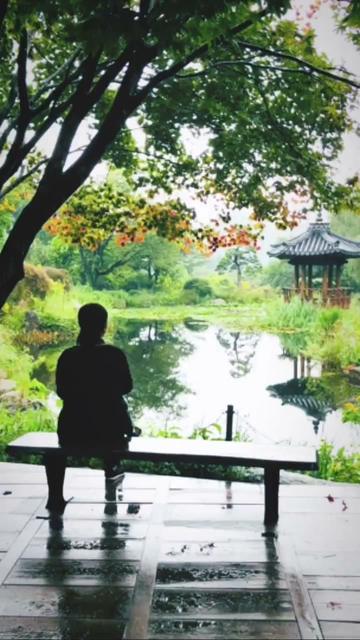 Gapyeong & Nami Island