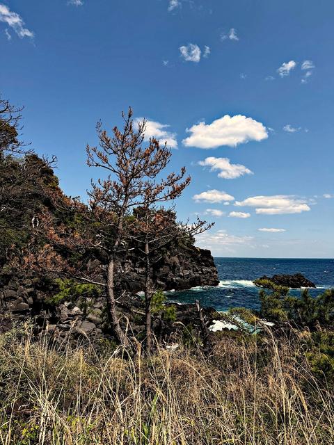Izu Peninsula