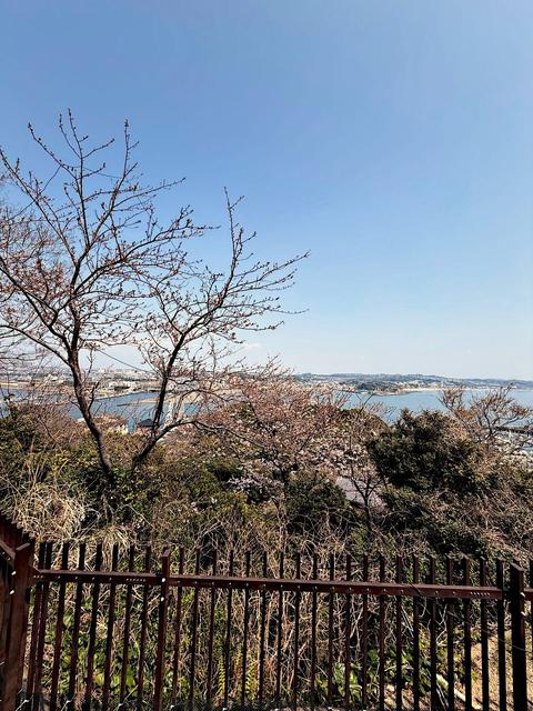 Fujisawa