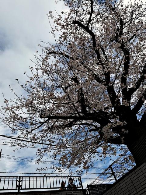 Kamakura