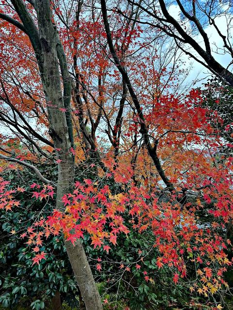 Kyoto