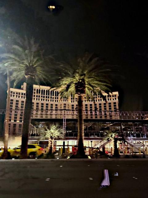 Paradise