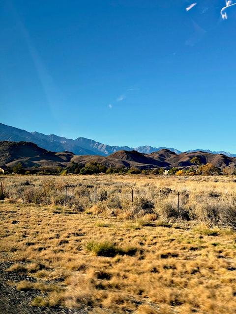 Lone Pine