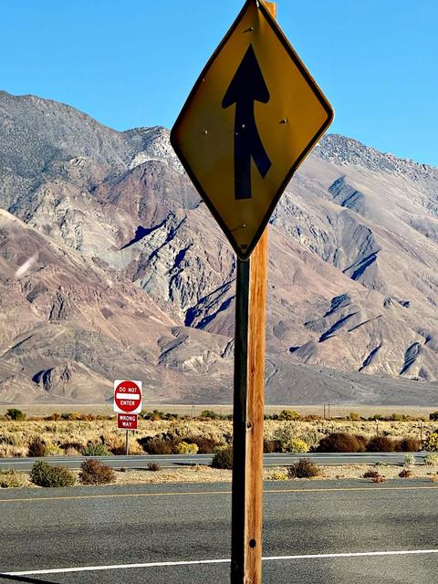 Lone Pine