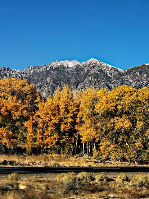 West Bishop