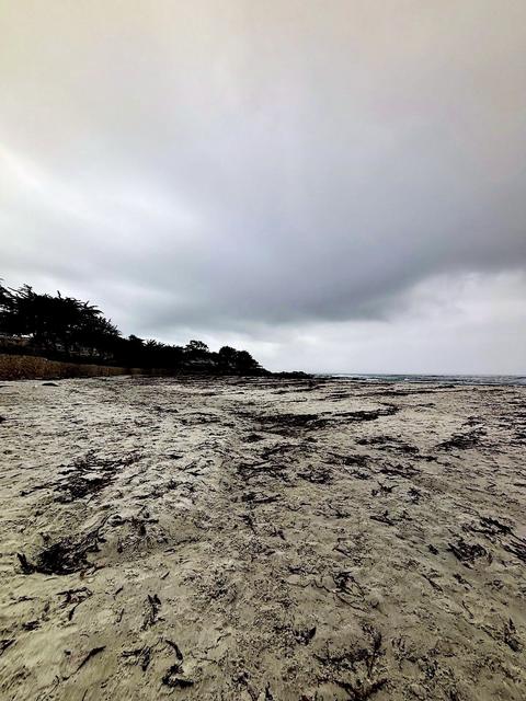 Monterey, Carmel & Santa Cruz