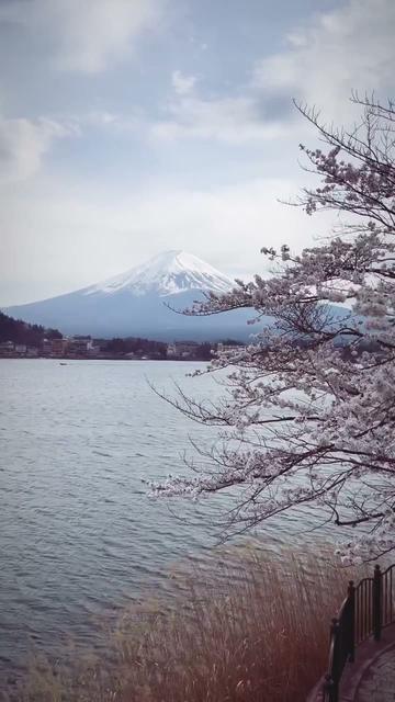 Mt. Fuji & the Five Lakes