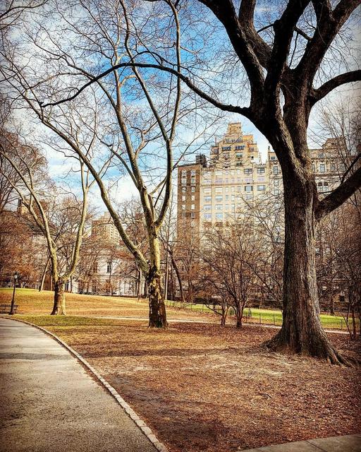 Central Park