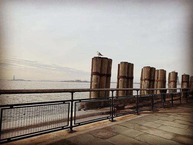 Battery Gardens