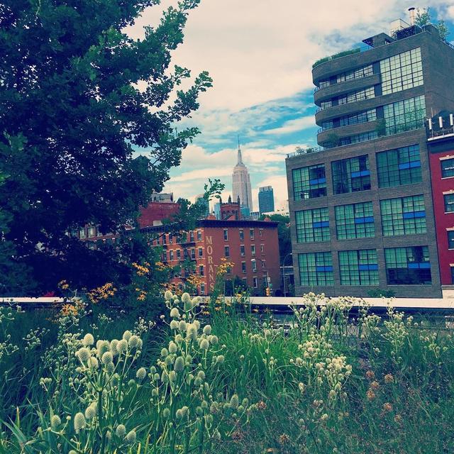 The High Line