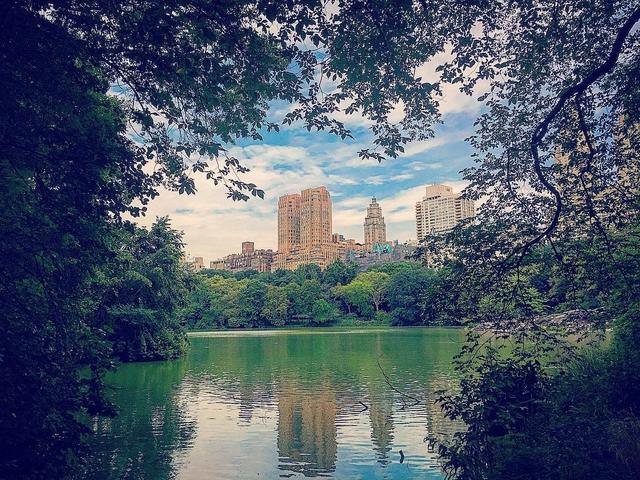 Central Park