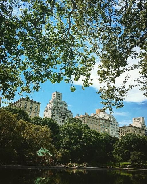 Central Park