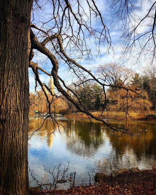 Central Park