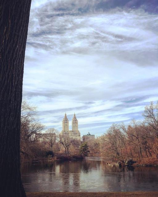 Central Park