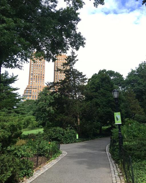 New York, Central Park