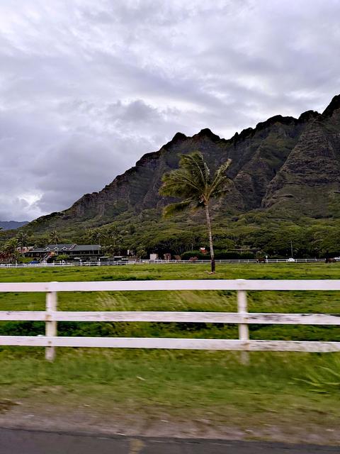 Ka'a'awa