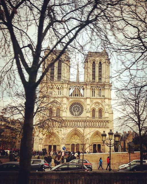 Cathédrale Notre-Dame de Paris