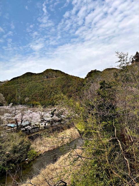 Morohongo