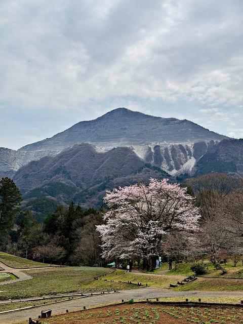 Chichibu