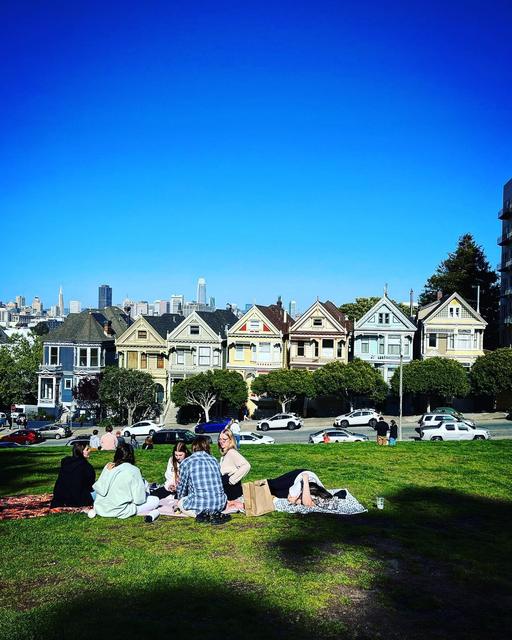 The Painted Ladies
