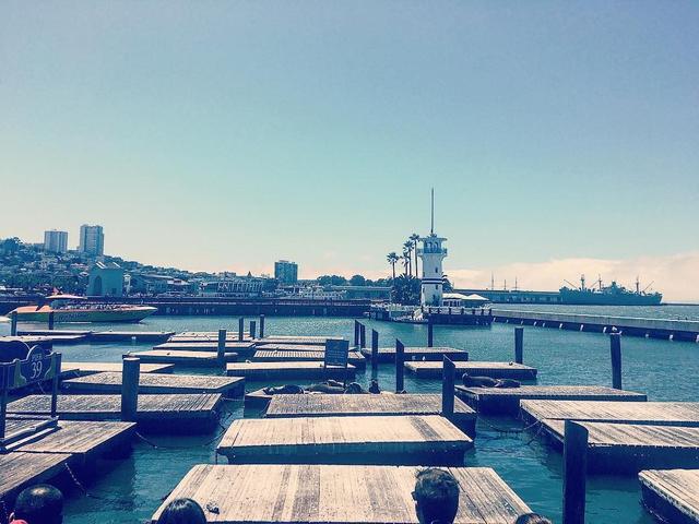 Sea Lion Center