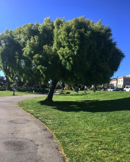 Palace of Fine Arts Theatre