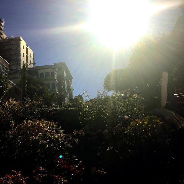 Lombard Street, San Francisco