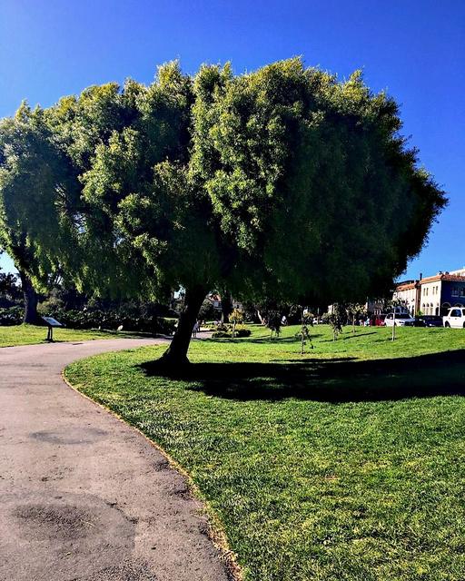 Palace of Fine Arts · San Francisco